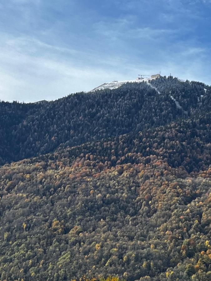 Maison De Village Montauban-de-Luchon エクステリア 写真